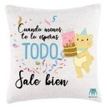 Cojín todo sale bien